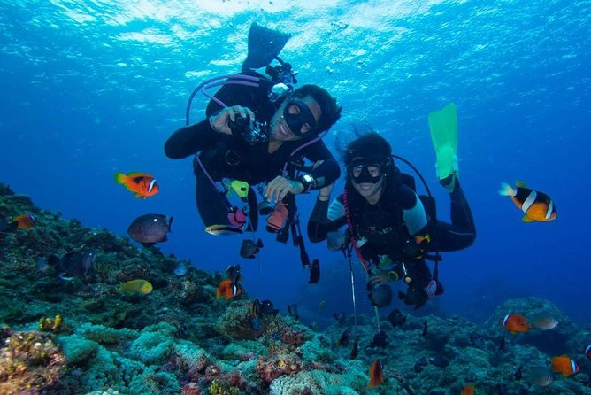 SSI | Padi Open Water Course in Phuket - Price and Logistics: Transfers, Pickup, and How the Day Flows