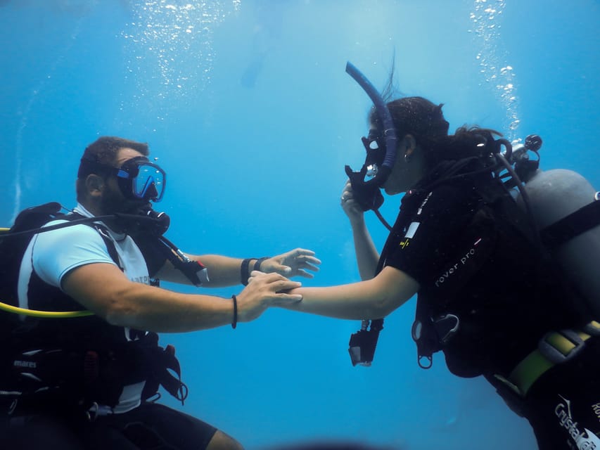 SSI Scuba Diver Course - Off the boat in Istria: what you’ll actually see and how it feels