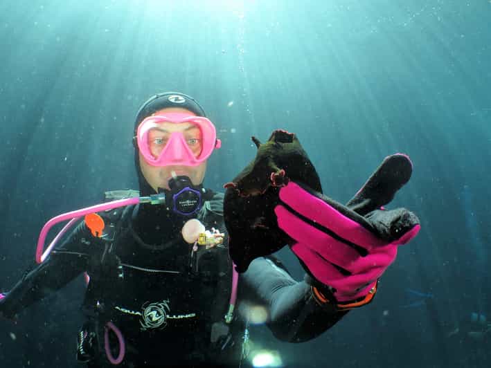 SSI Try Scuba Diving in the sea - Key reasons this Try Scuba session works