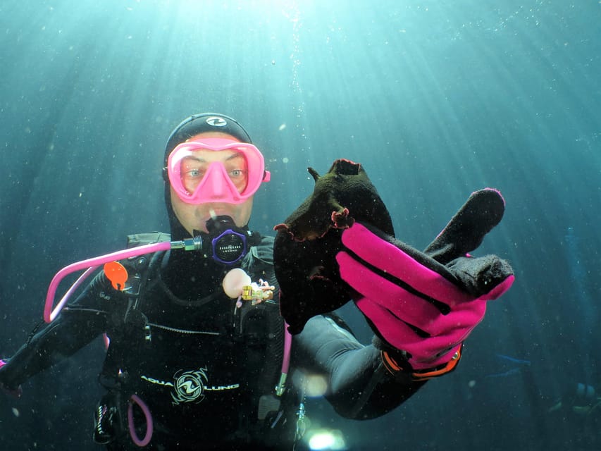 SSI Try Scuba Diving in the sea - Location details: St. Pauls Bay and the house reef setup