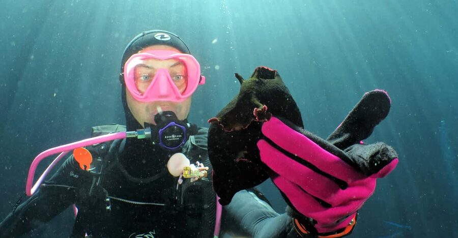 SSI Try Scuba Diving in the sea - Where you meet and how the 1.5–2 hour schedule flows