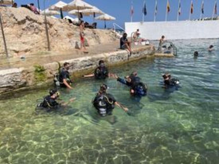 St Julians: Discover Scuba Diving Experience - Meeting Divewise in St Julian’s, right by the Westin Dragonara