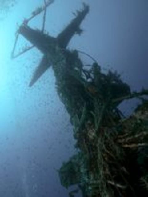 St Julians: Discover Scuba Diving Experience - Gear up and build comfort in shallow water
