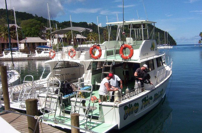 St Lucia Beginner Scuba Diving Tour - Meeting Marigot Bay: your 10:00 am start and what happens first