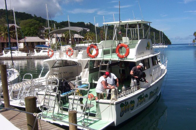 St Lucia Certified Scuba Diving Tour - Certified-only means less guesswork (and more relaxed control)