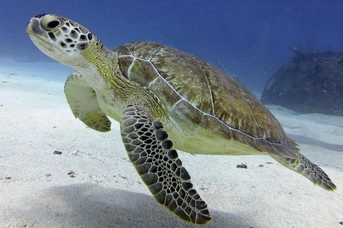 St Maarten Discover Scuba - Your first underwater stop: wreck features at 30 feet / 9 meters