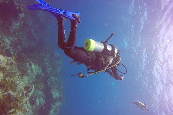 St Maarten Discover Scuba - Reef time from Simpson Bay: coastal cruise and offshore scenery