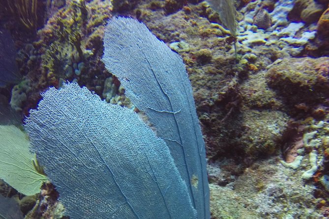 St Maarten Discover Scuba - Instructors and confidence building: Tom, Frank, and Damien