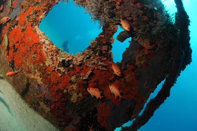 St Maarten Scuba Diving for Certified Divers - From Simpson Bay Out to the Right Spots