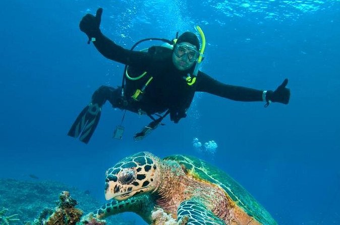 St Maarten Scuba Diving for Certified Divers - Gear, Coaching, and the Value of a Tight Max-12 Group