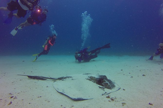St Maarten Scuba Diving for Certified Divers - Depth, Fitness, and the Certification Rules That Matter