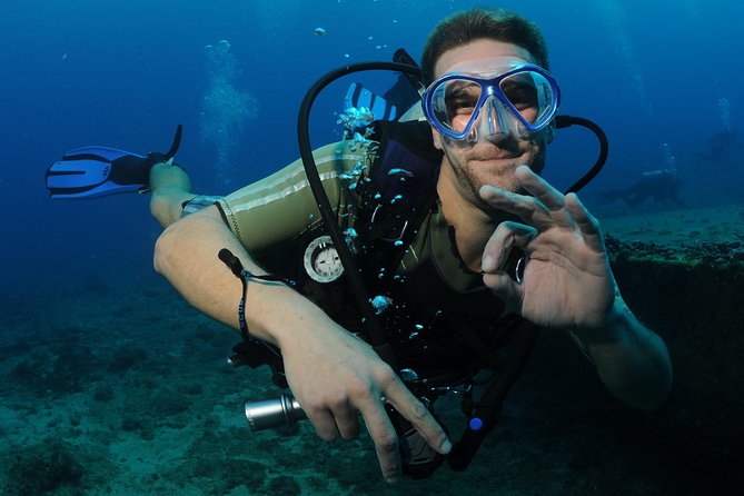 St Maarten Scuba Diving for Certified Divers - The Two-Tank Schedule and How the Day Feels