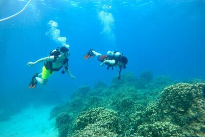 StandUp PaddleBoard Lesson and Experience Scuba Diving Package! - Stand-up paddleboard lesson: learn fast without feeling rushed