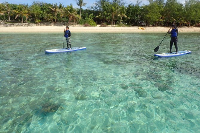 StandUp PaddleBoard Lesson and Experience Scuba Diving Package! - What you can expect to see: reefs and fish in Guam