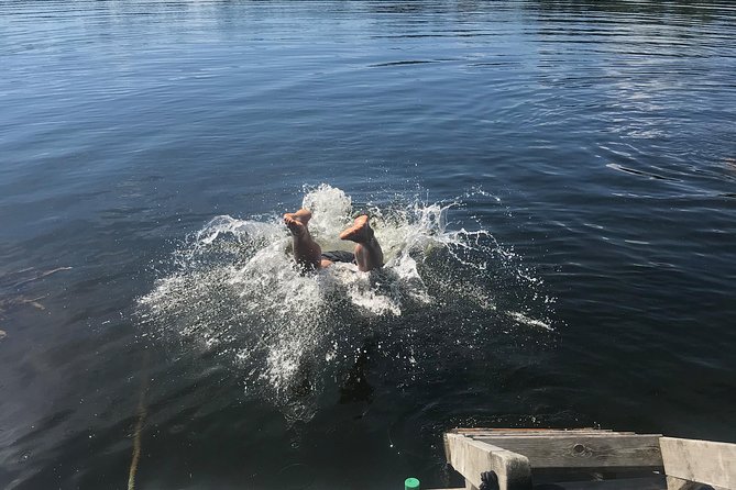 Stockholm Fire and Ice Tour! Dive into Swedish lifestyle! - Nature Reserve Time: When the City Noise Drops Away