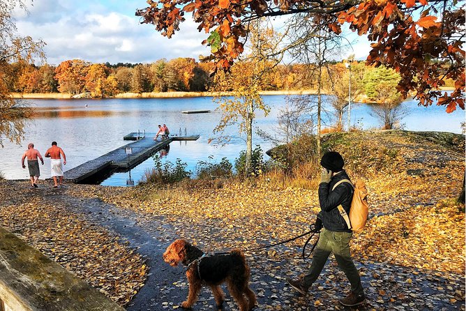 Stockholm Fire and Ice Tour! Dive into Swedish lifestyle! - The Hot Sauna and Cold Lake Plunge: The Heart of the Tour