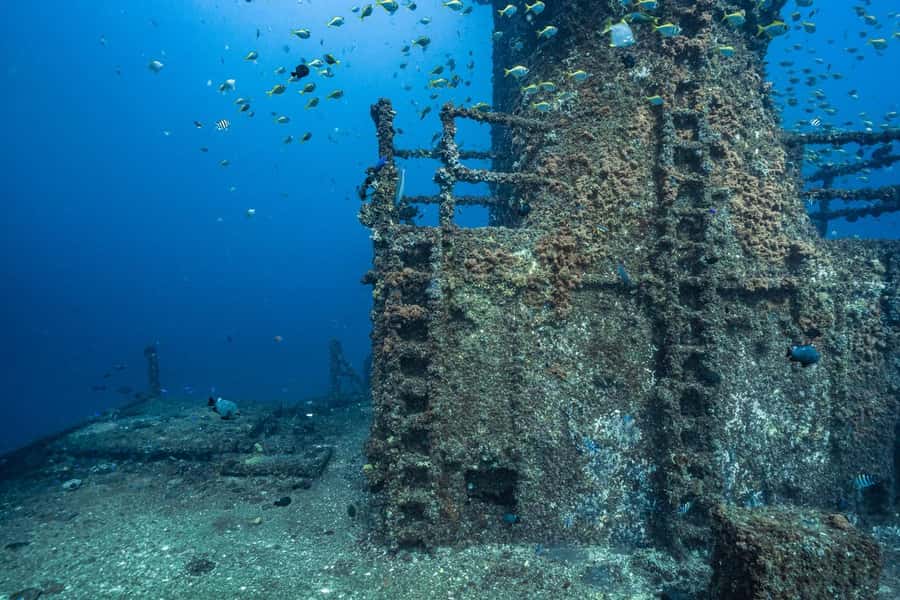 Sunshine Coast: Scuba Dive the Ex-HMAS Brisbane Ship Wreck - What’s Included in the $133 Price (and What Costs Extra)