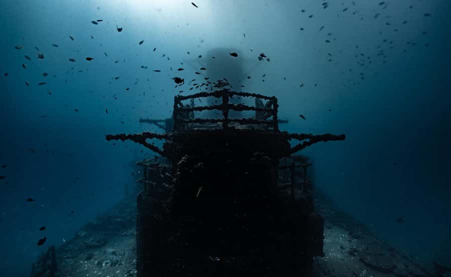Sunshine Coast: Scuba Dive the Ex-HMAS Brisbane Ship Wreck - Who This Trip Suits Best (And Who Should Skip It)
