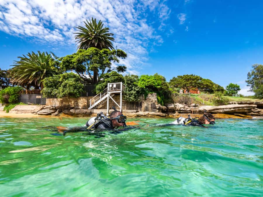 Sydney: Discover Scuba Dive at Australia's most Iconic Beach - PADI Discover Scuba at Bondi: What You Actually Learn in One Day