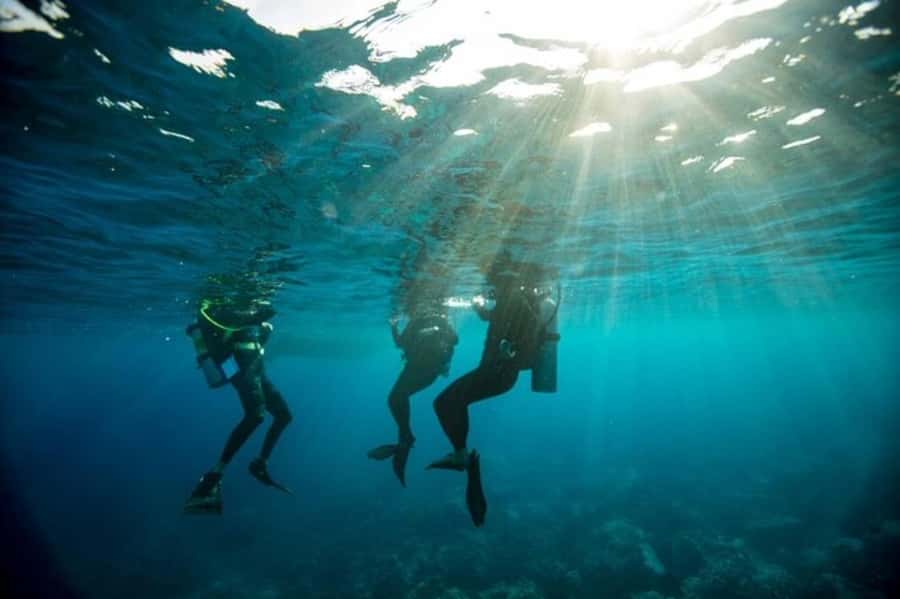 Sydney: Discover Scuba Dive at Australia's most Iconic Beach - Meeting at Dive Centre Bondi: How the Day Starts (and Ends)