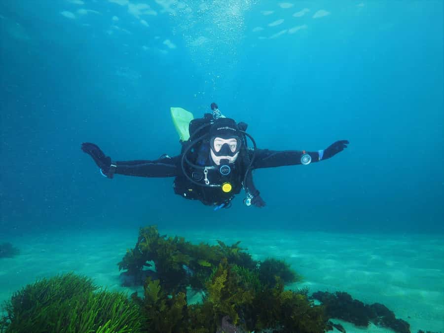 Sydney: Discover Scuba Dive at Australia's most Iconic Beach - Up to an Hour Off Bondi: What the Ocean Session Feels Like
