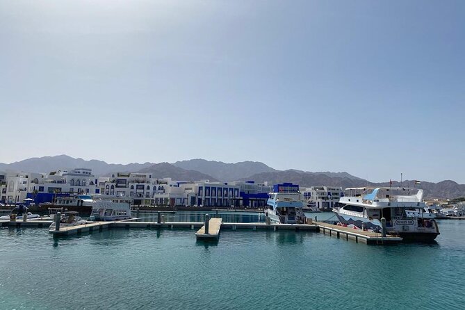 Take advantage of a half-day boat dive experience in Red sea of Aqaba. - After your tank: lunch plus swimming or snorkeling time