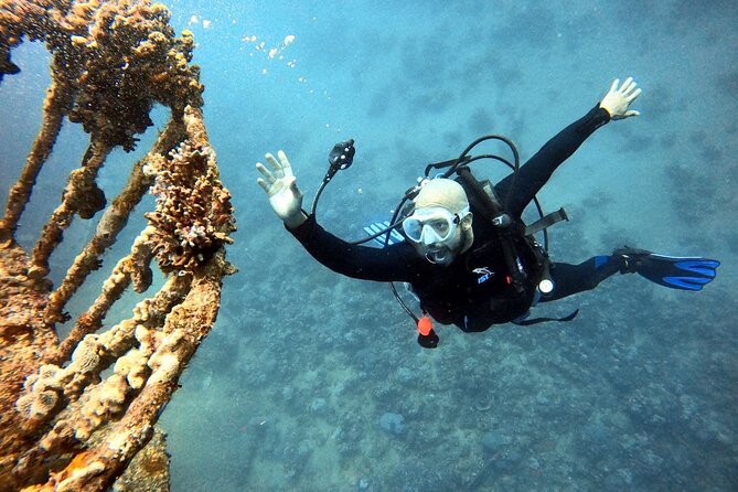 Take advantage of a half-day boat dive experience in Red sea of Aqaba. - What you may see underwater around Aqaba (based on real comments)