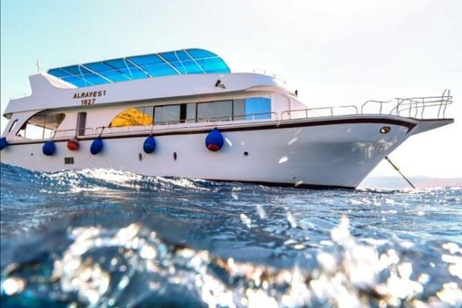 Take advantage of a half-day boat dive experience in Red sea of Aqaba. - Gear, wetsuits, and level rules before you go under