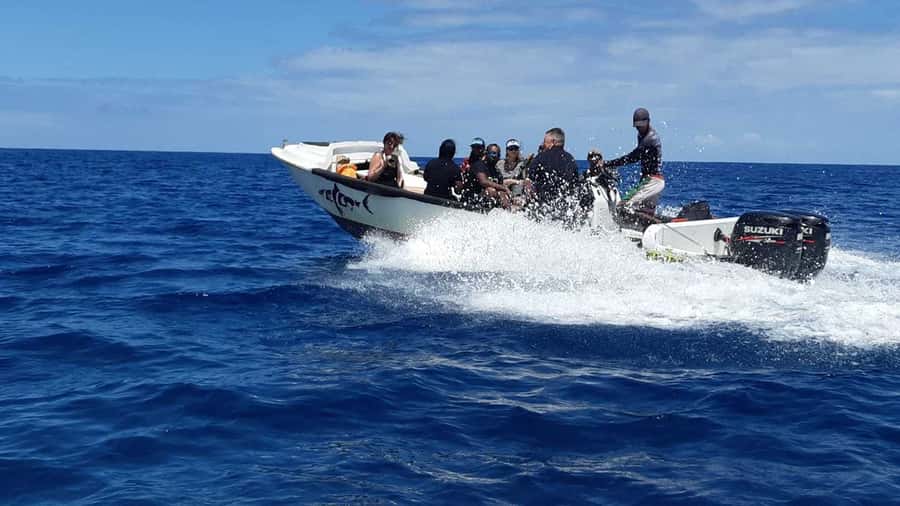 Tamarin Bay: Beginners Scuba Diving Experience - Key things I’d plan around