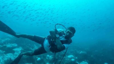 Tamarin Bay: Beginners Scuba Diving Experience - The full 3-hour timeline: what happens from arrival to boat time