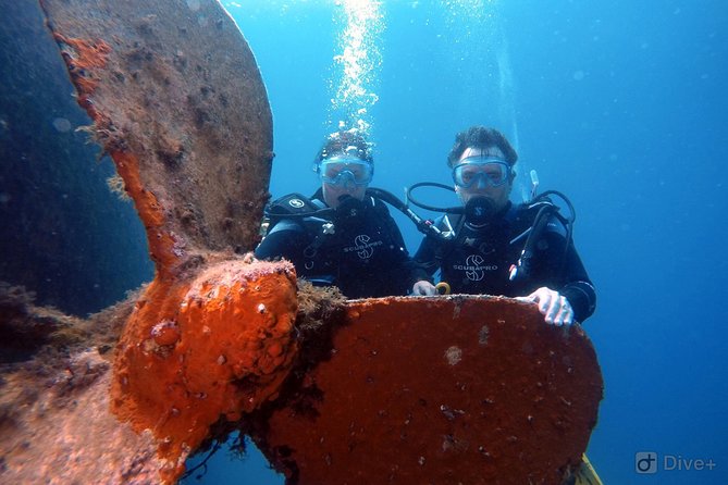 Taormina Scuba Diving Experience - Price and value: Is $163.39 per person worth it?