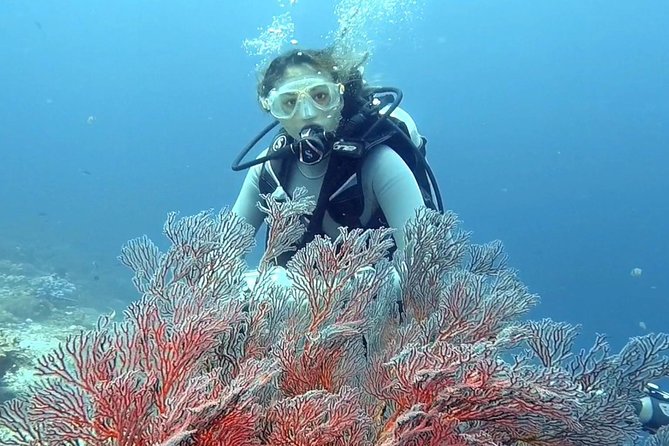 Taormina Scuba Diving Experience - What to do before you arrive: simple prep that pays off