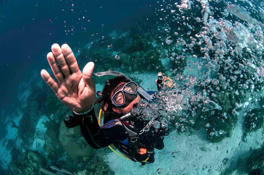 Tayrona National Park: Scuba Diving Tour for Beginners - Price and value: is $138 reasonable for a first-time course?