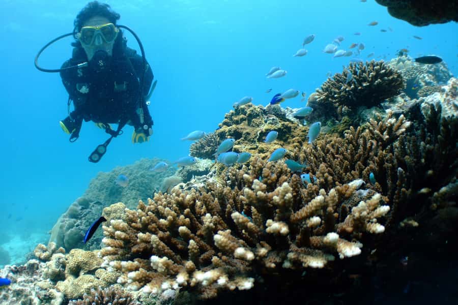 Tayrona National Park: Scuba Diving Tour for Beginners - Weather changes happen: planning smart in Tayrona