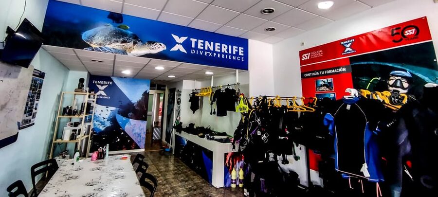 Tenerife: 2-Dive Private Scuba Discovery Course - Private DSD Certification in Tenerife, Not a Big-Group Course