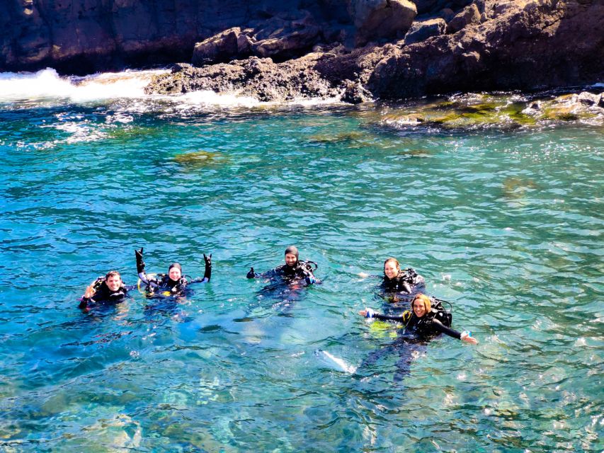Tenerife: 2-Dive Private Scuba Discovery Course - Scuba Point Meet-Up and Getting Gear Set Fast