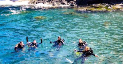 Tenerife: 2-Dive Private Scuba Discovery Course - The Speedboat Start: Your Two Underwater Sessions