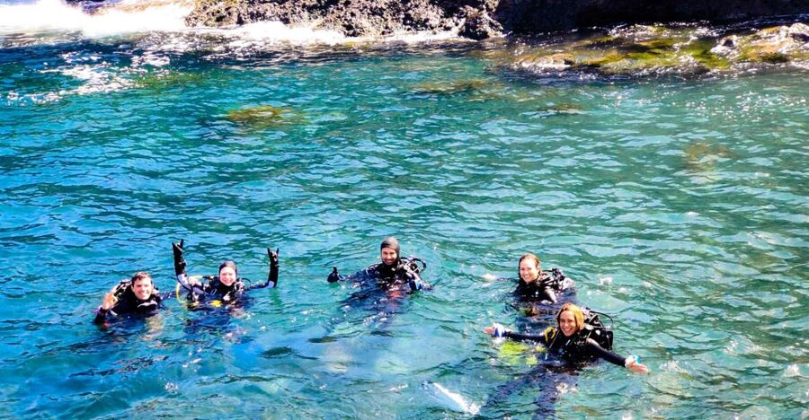 Tenerife: 2-Dive Private Scuba Discovery Course - The Speedboat Start: Your Two Underwater Sessions