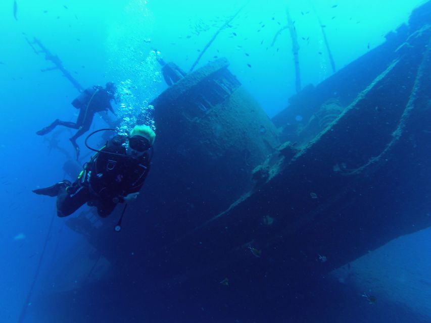 Tenerife: 2 Diving Sessions for Certified Divers - Who this Tenerife underwater experience suits best
