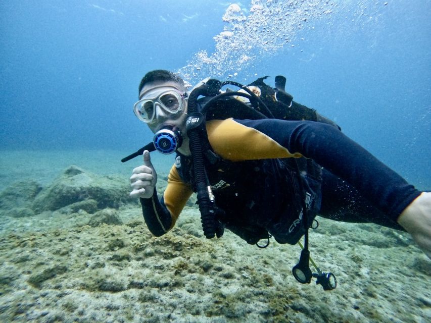Tenerife: Beginner's Dive at a Spot with Turtle Sightings - Tenerife beginner scuba: what makes this first-timer-friendly