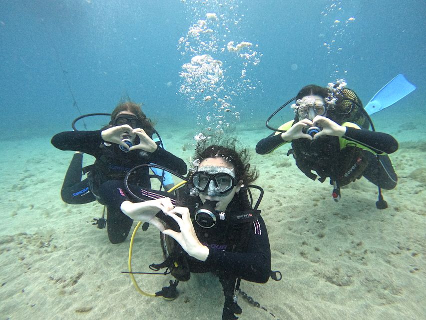Tenerife: Beginner's Dive at a Spot with Turtle Sightings - Price and what your $82 actually buys