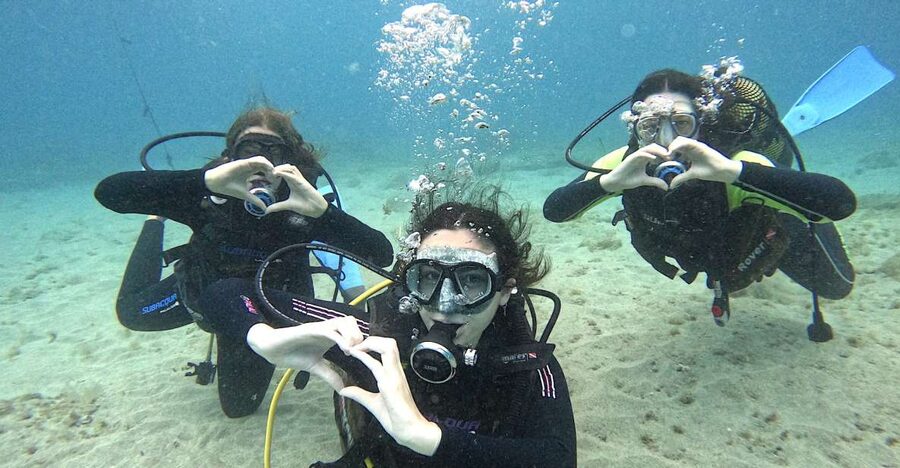Tenerife: Beginner's Dive at a Spot with Turtle Sightings - The 30-minute safety briefing: where first-timers gain confidence