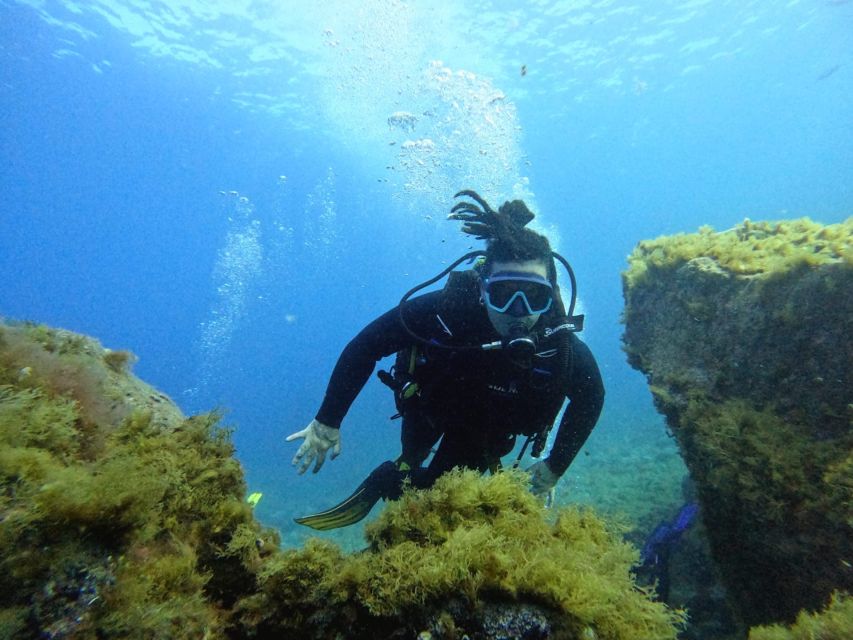 Tenerife: Beginner's Dive at a Spot with Turtle Sightings - Your time in the water: max 10 meters and a guided wildlife search