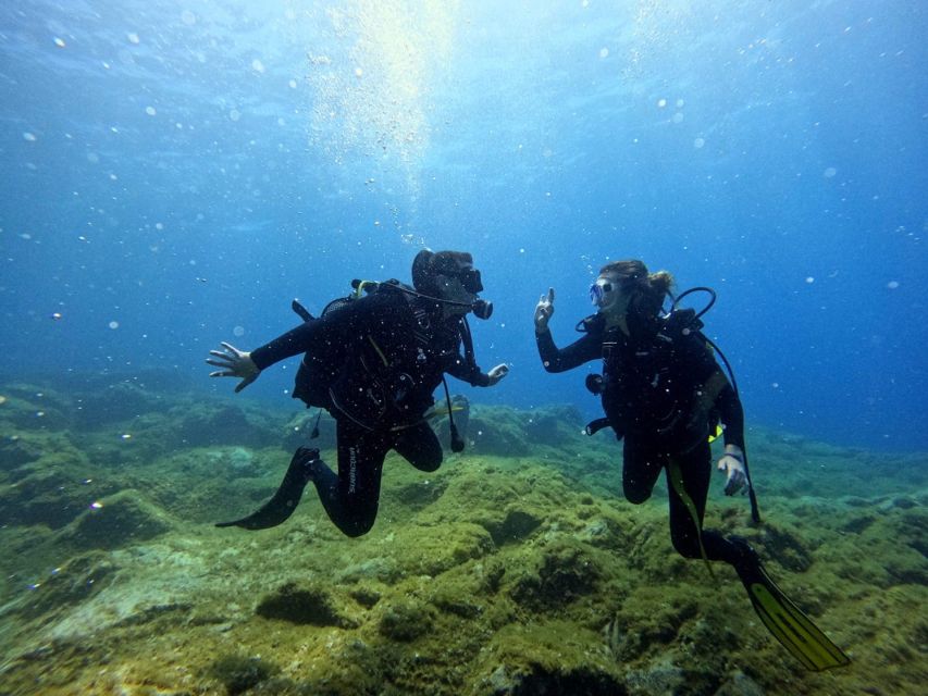 Tenerife: Beginner's Dive at a Spot with Turtle Sightings - If you snorkel: a surface option during the scuba turns