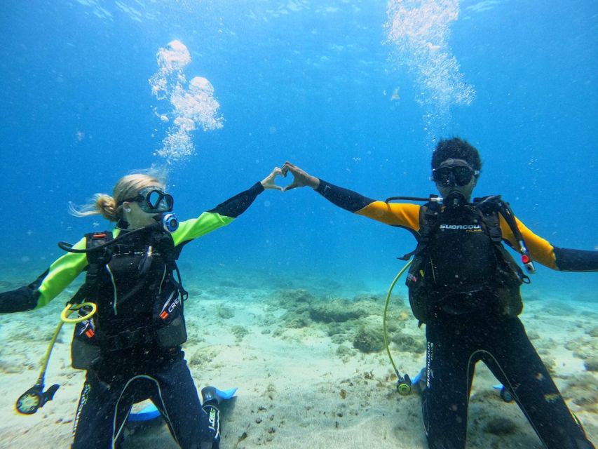 Tenerife: Beginner's Dive at a Spot with Turtle Sightings - How the guides handle nervous beginners (and why that matters)
