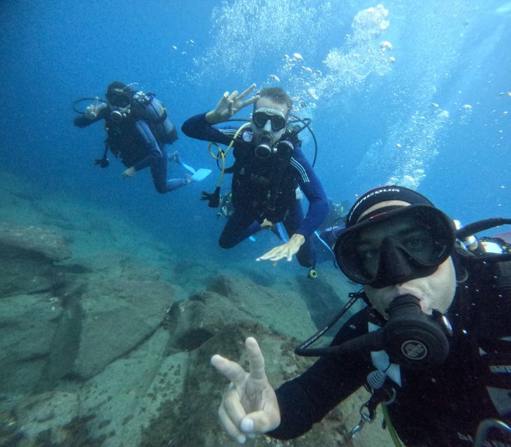 Tenerife: Beginner's Dive at a Spot with Turtle Sightings - Getting to Zero Gravity Tenerife in Puerto Colón (and not wasting time)