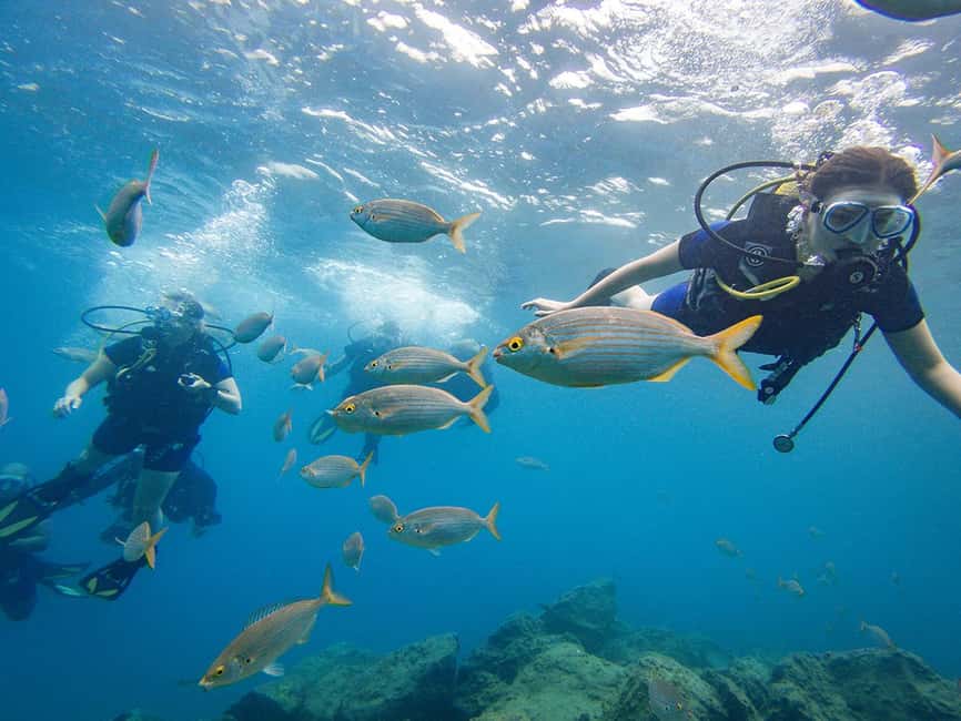 Tenerife: Beginner Scuba Dive Experience - Your Shallow-Water Underwater Session: Learning Skills Without Feeling Rushed
