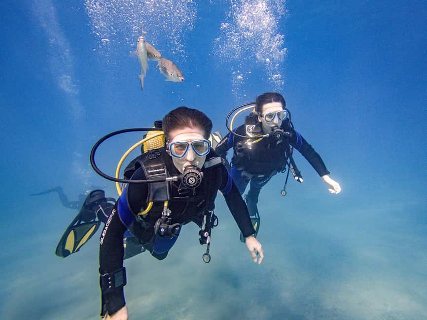 Tenerife: Beginner Scuba Dive Experience - Instructor Support in Three Languages: Why It Matters for First-Timers
