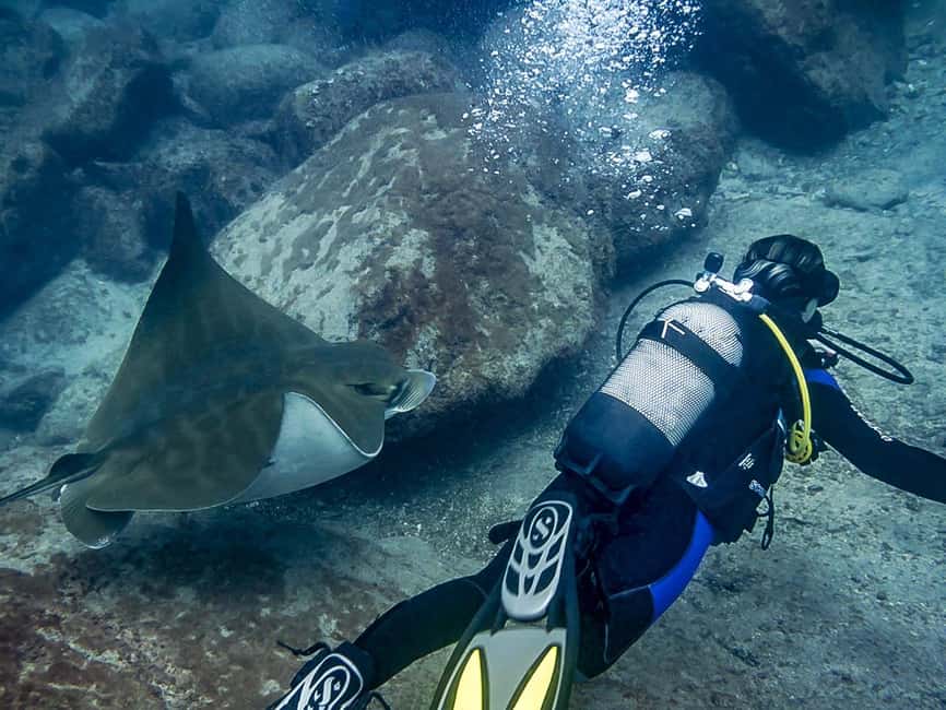 Tenerife: Beginner Scuba Dive Experience - Small Group Size: Great for Comfort, Something to Consider If You’re Extra Anxious