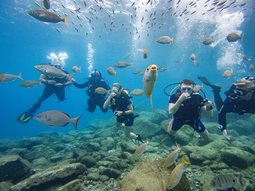 Tenerife: Beginner Scuba Diving Experience with Pickup - Why this Tenerife first-timer scuba outing feels manageable